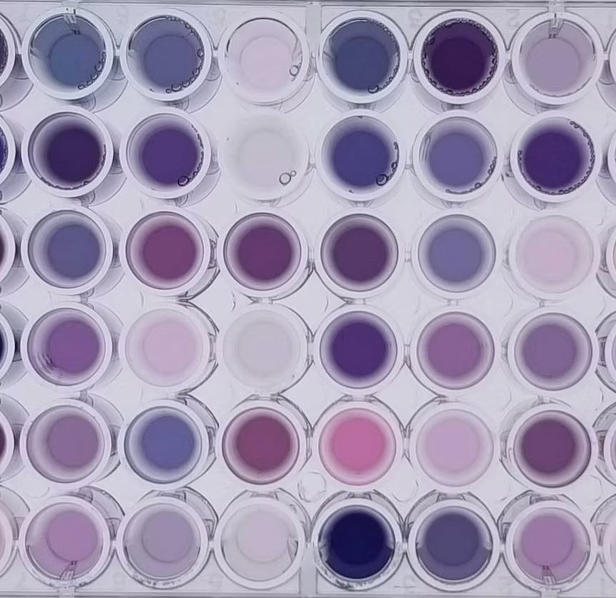 AI-Driven Materials Discovery