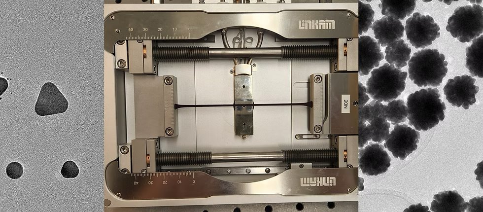Self-Assembly & Nanostructures